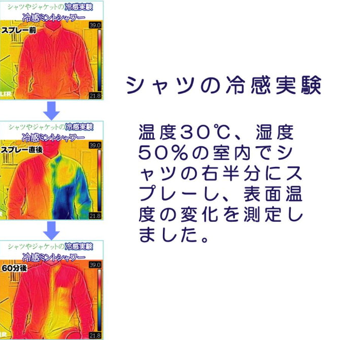 Kitami 日本制 北海道北见天然食用级薄荷精油 消臭冷感喷雾 300ml