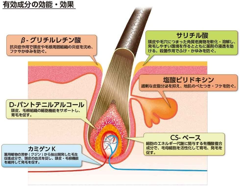 KAMINOMOTO 加美乃素藥用美髮源無香料150mL