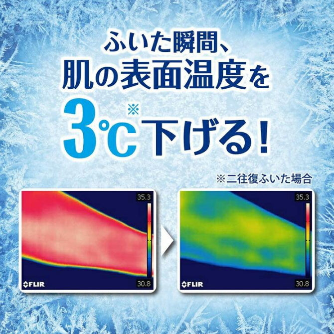 KAO 花王 Biore 冷感湿巾-3凉感降温 止汗湿纸巾 20枚 花香