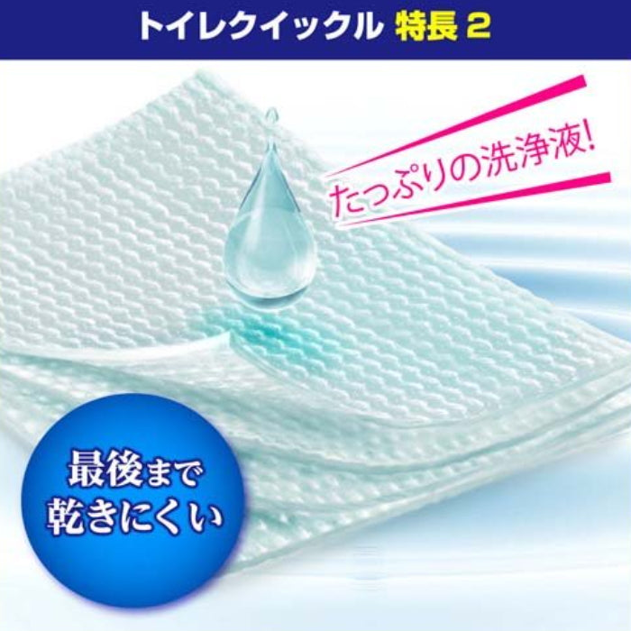 KAO 花王 厕所用 99%除菌 24小时抗菌 除臭清洁厚湿纸巾 补充包10枚入 薄荷香