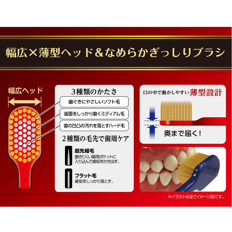 EBISU 惠百施日本百年品牌Premiumcare牙刷62號7列寬頭牙刷普通硬度