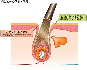 Kaminomoto 加美乃素 药用洗发水 日本育发界的鼻祖(300ml)