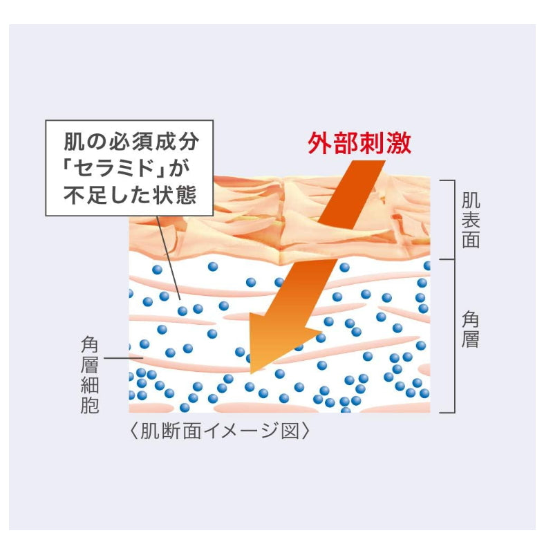 KAO 花王 珂润 适用敏感肌 浸润保湿深层乳霜 无添加香料色素酒精 40g