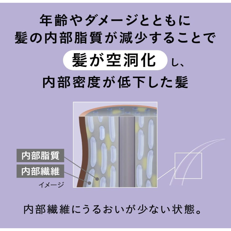KAO 花王 Segreta 修复发跟护理 头皮美容精华成分 丰盈护发素 430ml