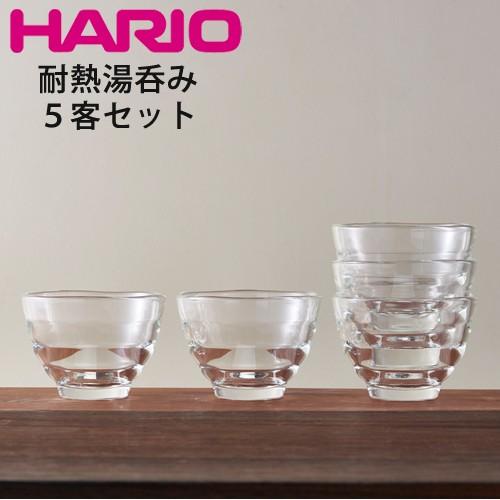 HARIO 耐热玻璃茶碗5件套(微波、炉烤箱、洗碗机可用)