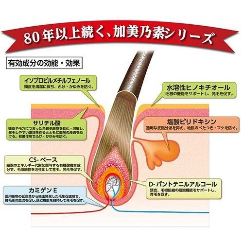 Kaminomoto 加美乃素A 育髮劑無香料(預防掉髮稀發,男女皆適用)200ml