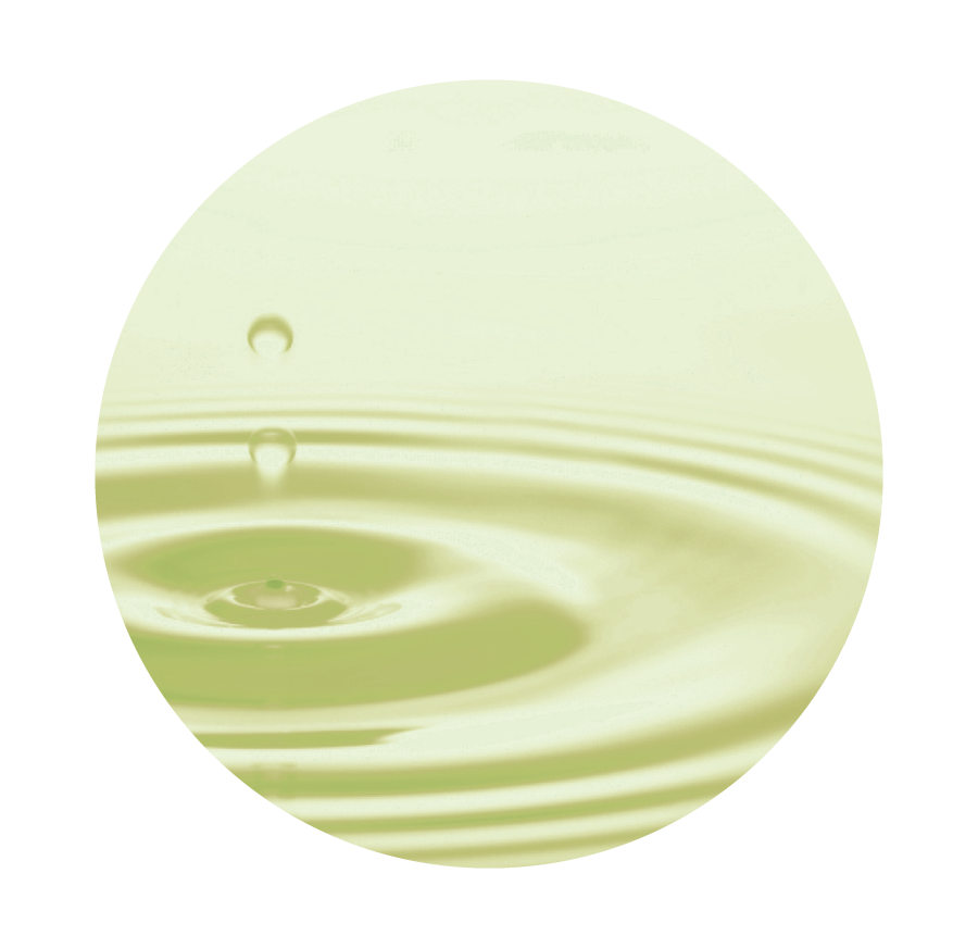 BATHCLIN 美容汤 入浴剂 600g(2种香味可选)