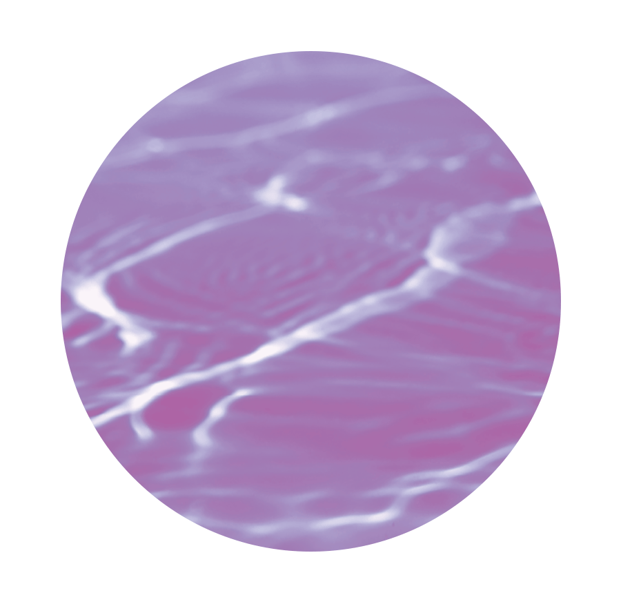 BATHCLIN 美容汤 入浴剂 薰衣草600g