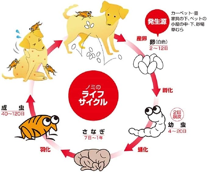 Earth 药用除虫驱蚊项圈(6个月有效) 中大型犬用