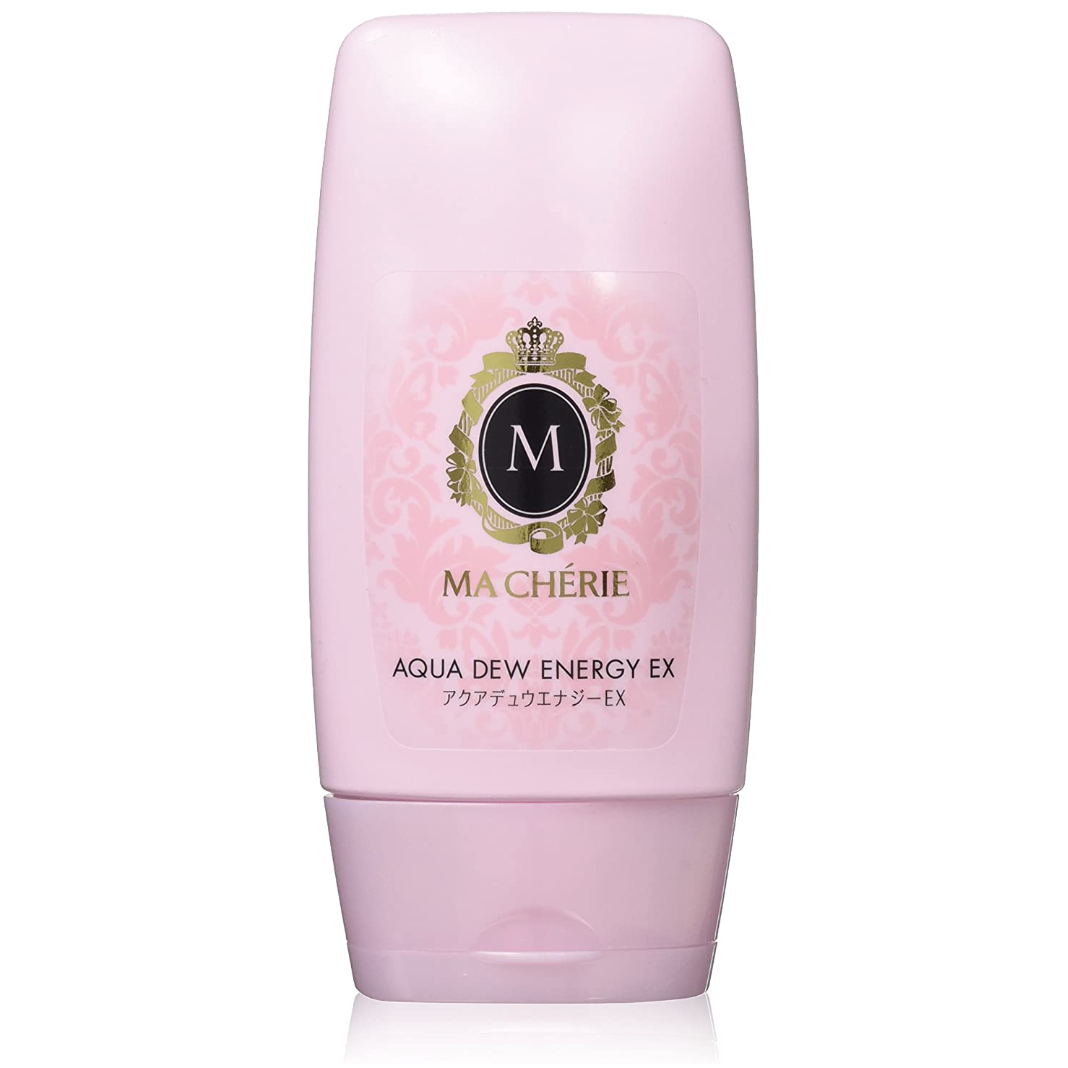 SHISEIDO 資生堂保濕修護精華露120g