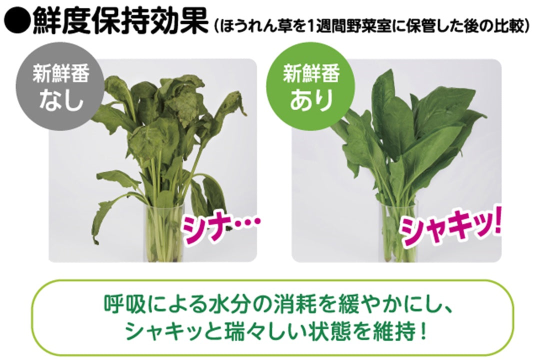 S.T 冷藏蔬菜长效保鲜块 新品专利申请中(碳酸气延缓蔬菜氧化,减少水分流水,有效3个月)