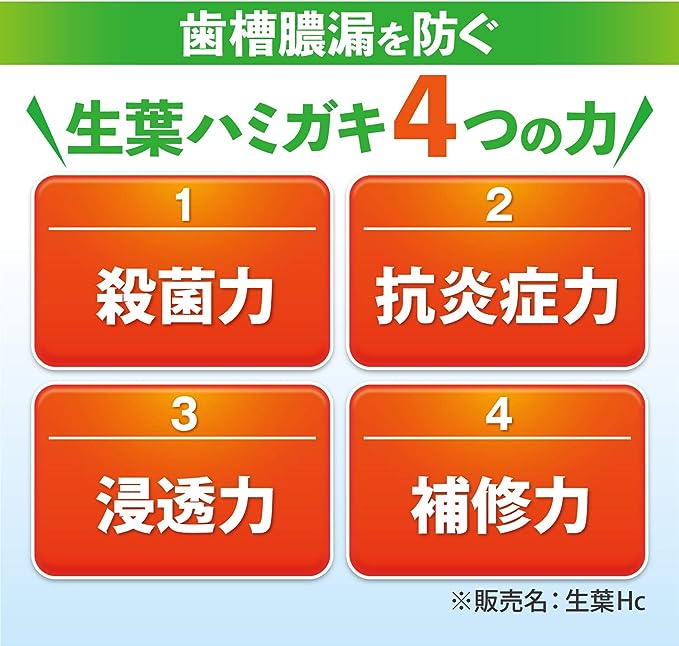 KOBAYASHI 小林制药 中药生叶收敛牙膏(7种天然植物成分)100g