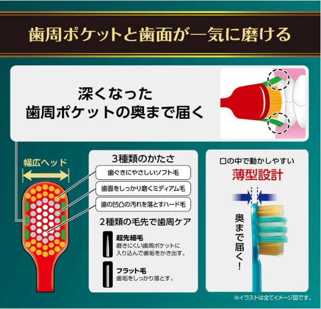 EBISU 惠百施 日本百年品牌 Premiumcare牙刷 P61号超细毛刷清洁牙周牙刷 柔软款 颜色随机