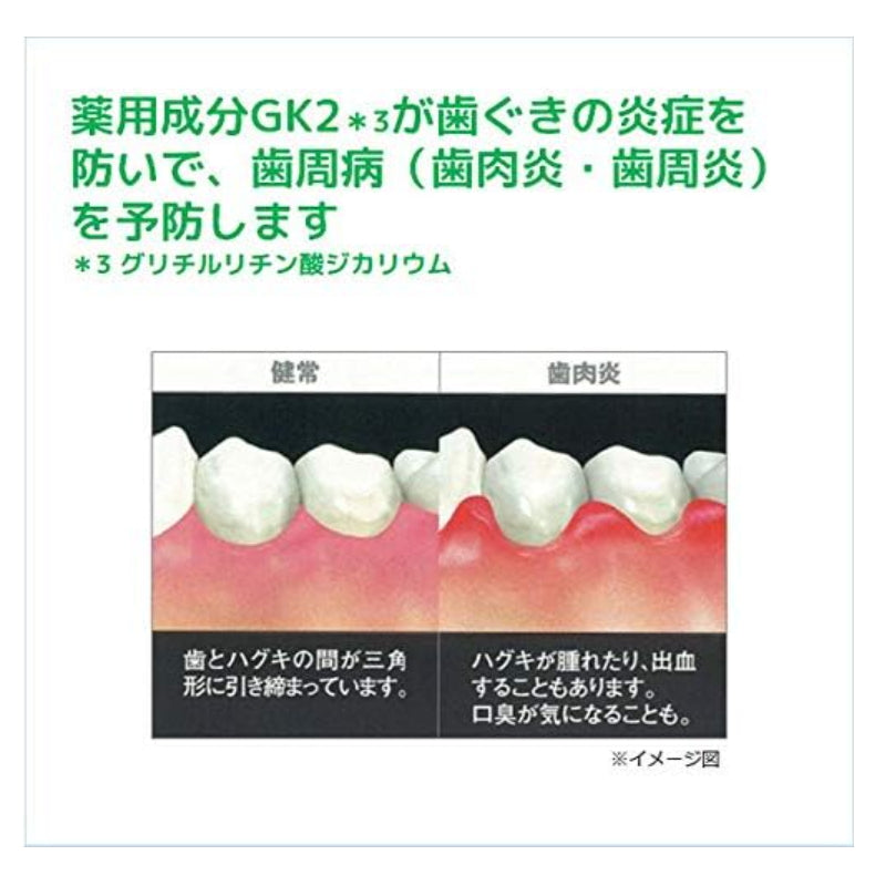 G.U.M  齿科药用牙膏 长效牙周消炎除菌护理  清爽草本120g