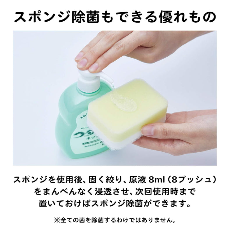 日本UTAMARO 廚房食器用除菌洗潔精300ml 綠色草本