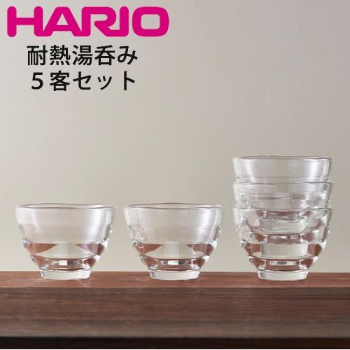 HARIO 耐热玻璃茶碗5件套（微波、炉烤箱、洗碗机可用）