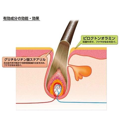 Kaminomoto 加美乃素 药用护发素 日本育发界的鼻祖（300ml）