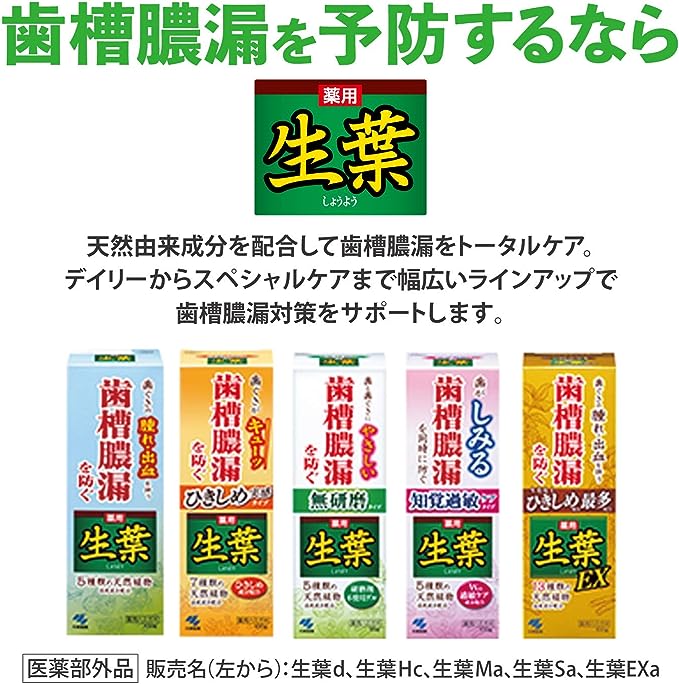 KOBAYASHI 小林制药 中药生叶收敛牙膏（7种天然植物成分）100g