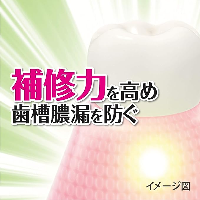 KOBAYASHI 小林制药 中药生叶收敛牙膏（7种天然植物成分）100g