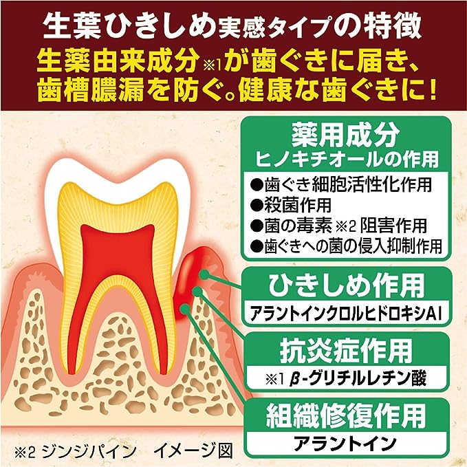 KOBAYASHI 小林製藥中藥生葉收斂牙膏（7種天然植物成分）100g
